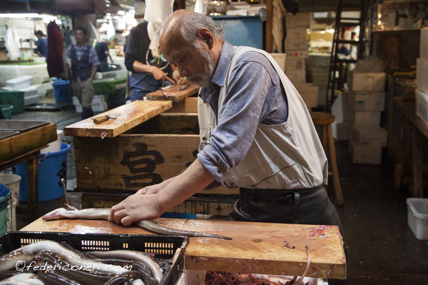 Tokyo, mercato ittico all'ingrosso di Tsukiji