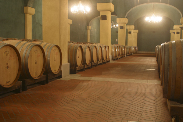 Azienda vinicola, cantina