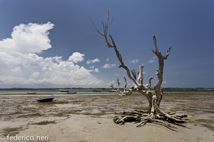 Wasini Island, Kenya
