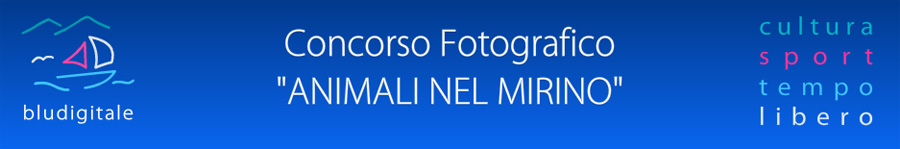 CONCORSO FOTOGRAFICO: ANIMALI NEL MIRINO<BR>