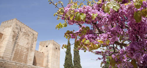 ANDALUCIA, SPAGNA - 2008 