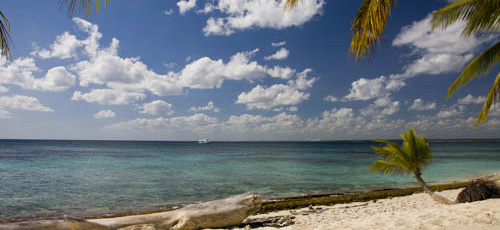 REP. DOMINICANA - 2007