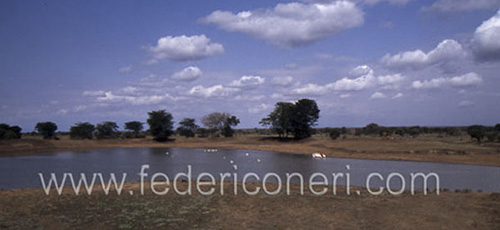 KENYA - 2000 