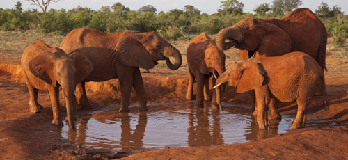 KENYA - 2011