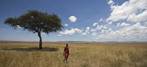 KENYA - 2013 