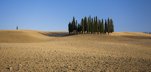 VAL D'ORCIA - 2016