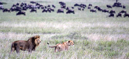 TANZANIA - 2014