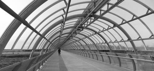 VIAREGGIO-ROMA - 2008