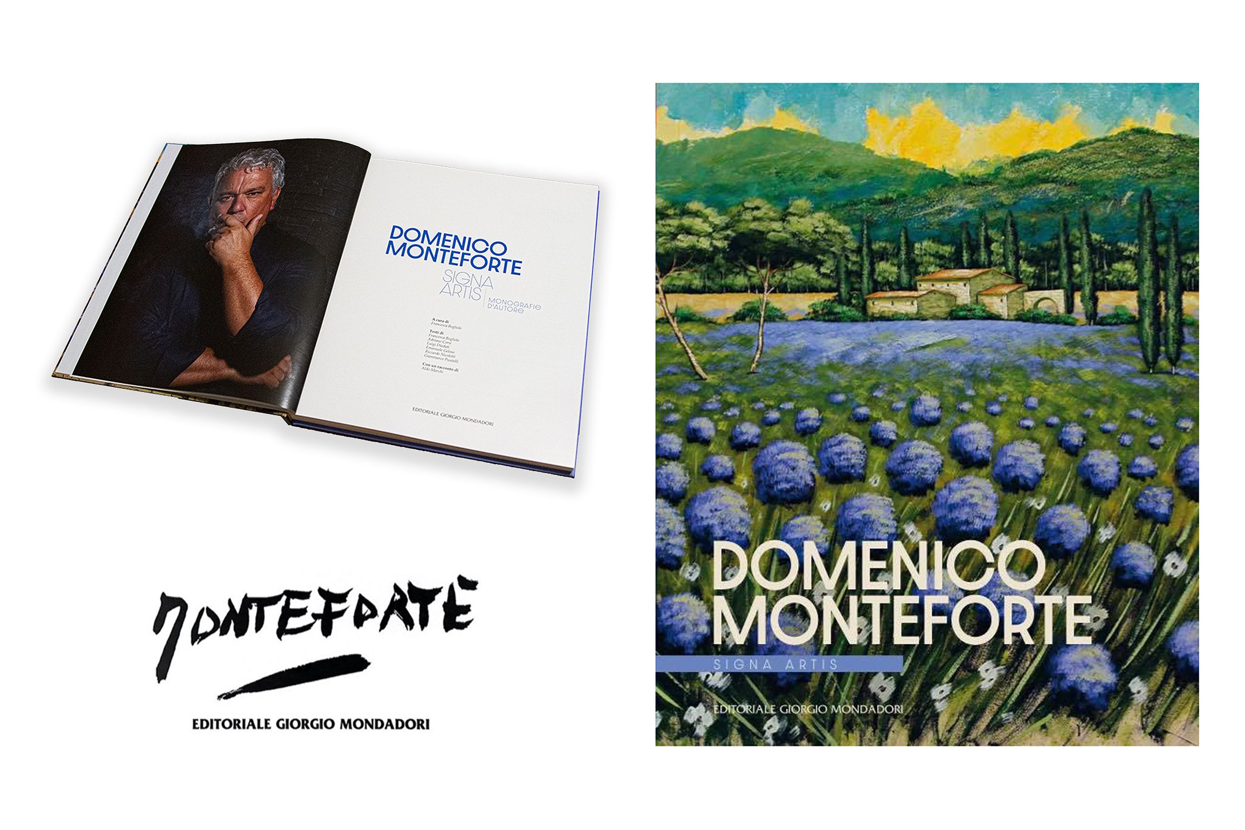 Domenico Monteforte, monografia 2020 - Editoriale Giorgio Mondadori.