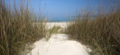 SPIAGGE BIANCHE - 2006