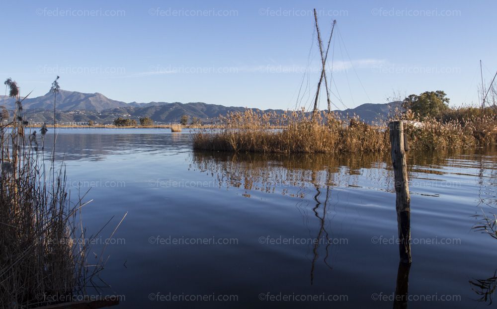 Lago di Massaciuccoli