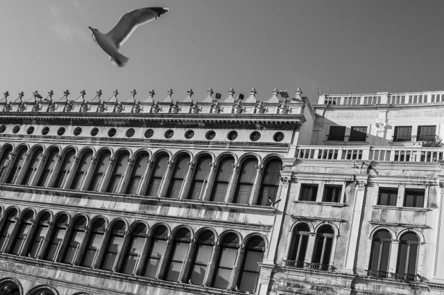 Venezia 3